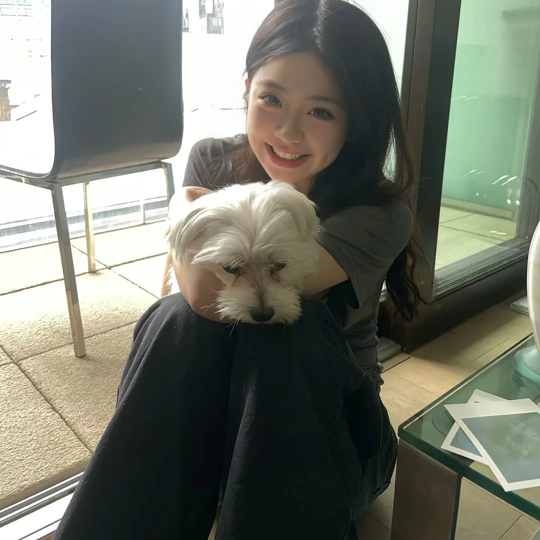 聪明的小母鸡